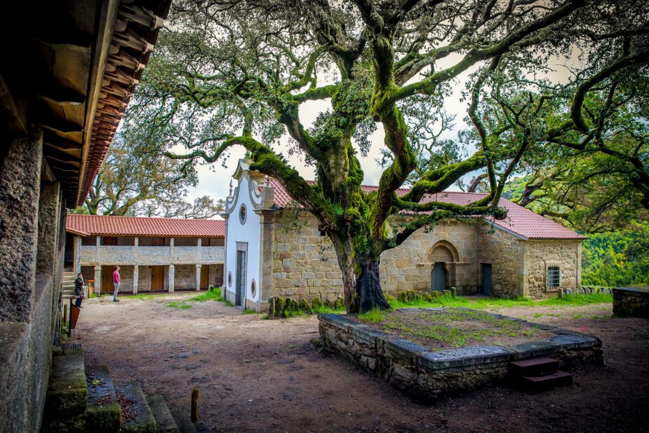 Casa Da Vila Cerveira Vila Nova de Cerveira Bagian luar foto